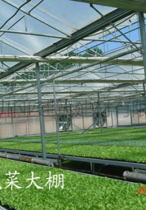 民用蔬菜大棚用采光瓦效果图