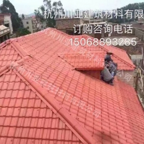 合成树脂瓦案例21