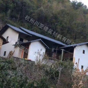 合成树脂瓦案例20