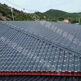 合成树脂瓦案例19