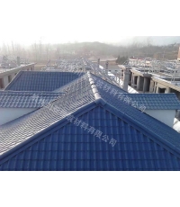 合成树脂瓦案例13