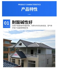 合成树脂瓦案例
